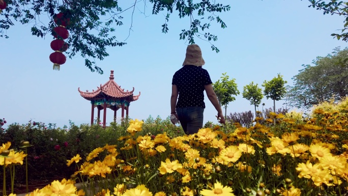 花海中的女子与湖光山色跋山水库