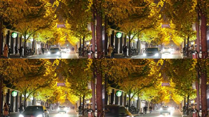 秋日银杏大道夜景