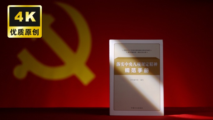 落实中央八项规定精神规范手册廉洁自律