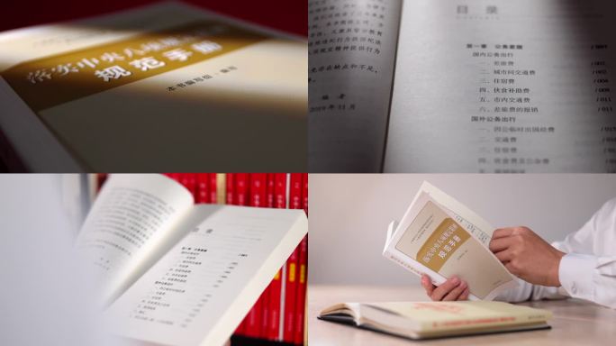 落实中央八项规定精神规范手册廉洁自律
