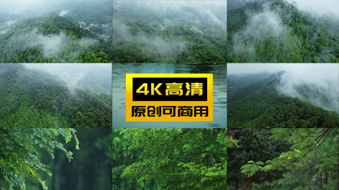 森林下雨暴雨雨景梅雨雨季