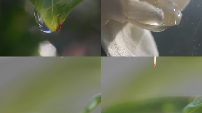 水滴