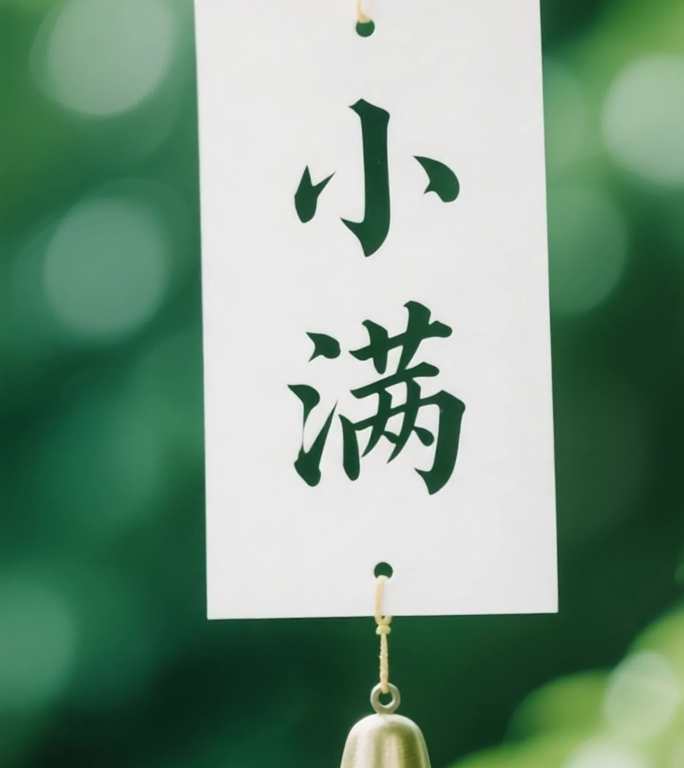 竖版 小满节气 麦田 小麦 农作物 下雨