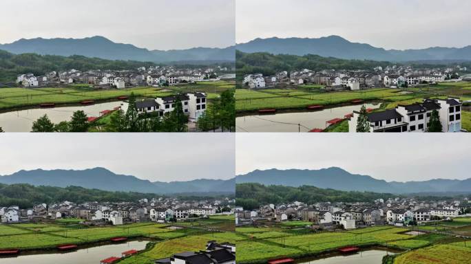 皖南徽派乡村田园风光