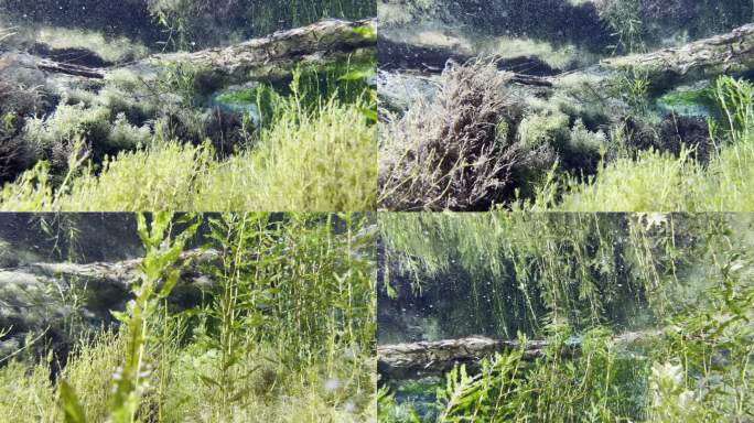 河南安阳-小南海东南四泉