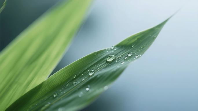 端午安康中国风传统节日文化传承