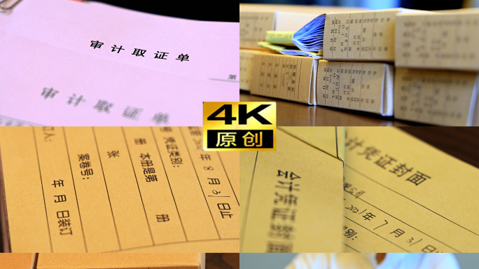 4K纪检监委巡视巡查督查排查审计查账
