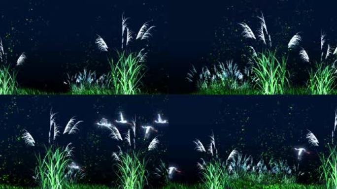 芦苇 飞鸟 粒子 夜景 横移 唯美