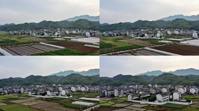 皖南乡村田园风光