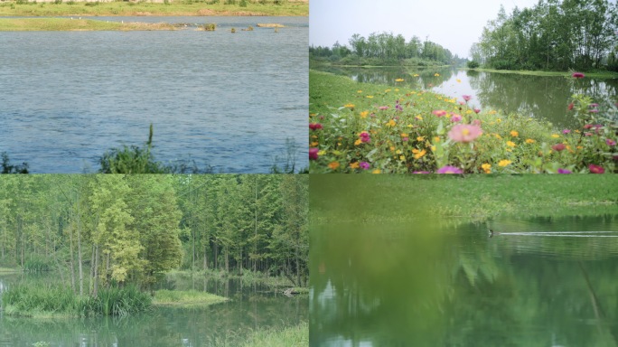 自然生态风景公园湿地生态公园