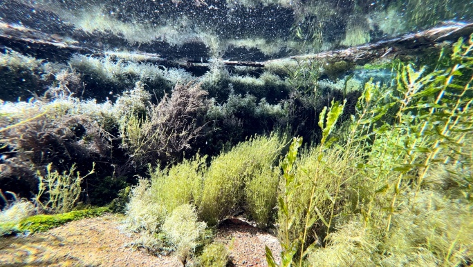 河南安阳-小南海东南四泉