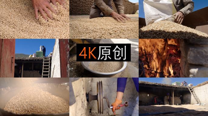 西藏美食 炒青稞 传统手工