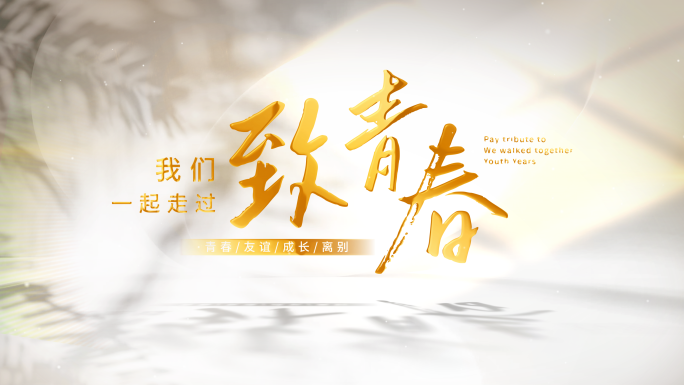 唯美青春文字字幕照片汇聚片头