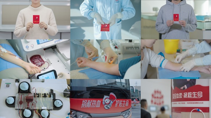 无偿献血证书 公益志愿者血站血包抽血分离