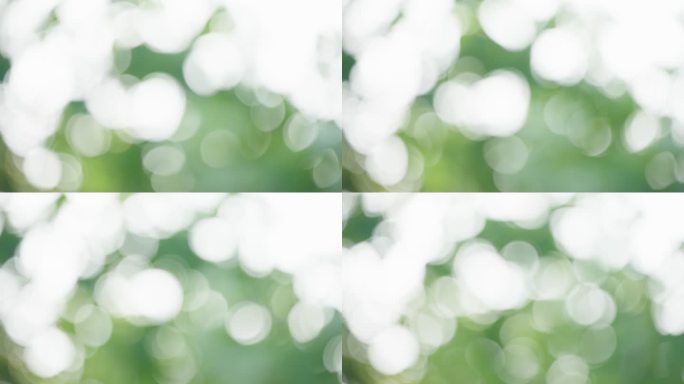 绿意盎然的模糊光斑