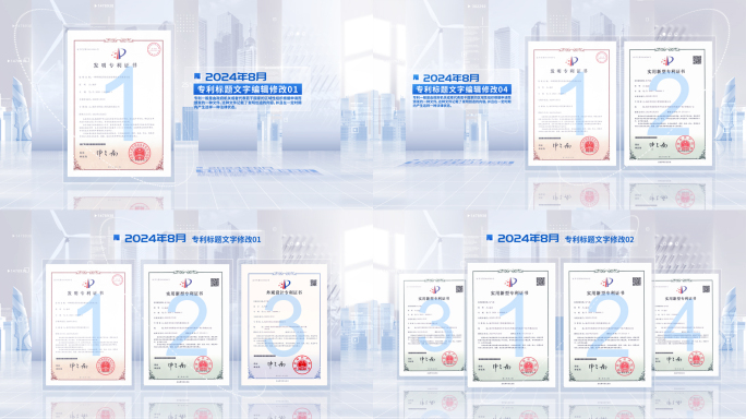 25-浅色简洁专利包装模板