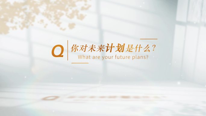 4K简洁采访提问字幕