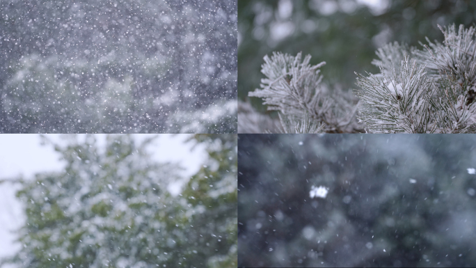 雪花下雪雪景冬天风景