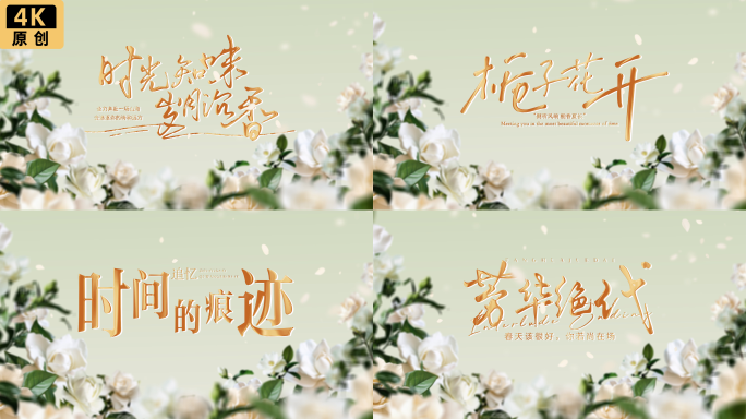 唯美浪漫夏日花朵片头