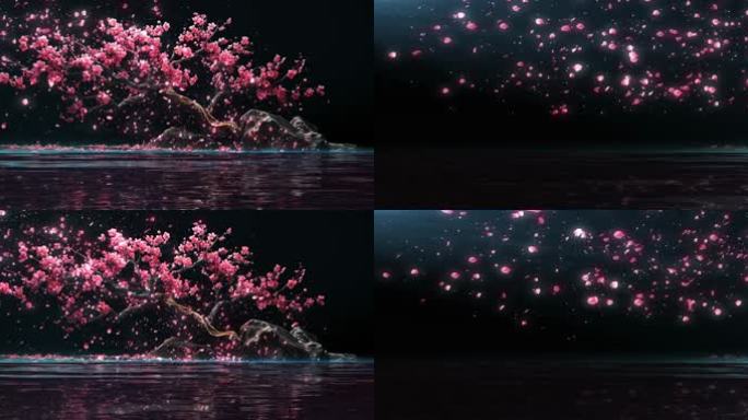 桃树 光影  花瓣