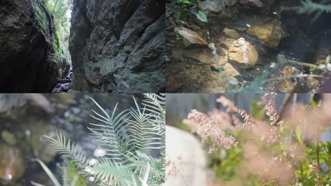 山间溪流的自然风光