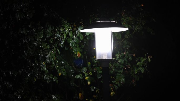 雨夜路灯倒影  雨中路灯