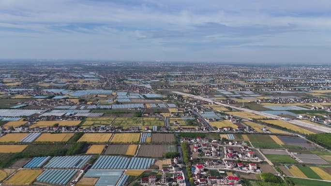 浦东新区泥城 航拍