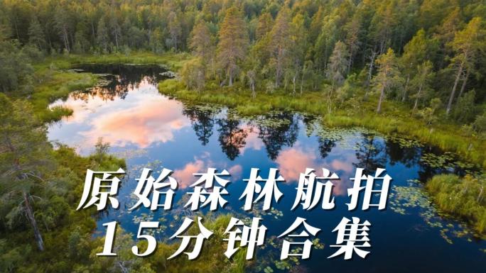 原始森林雾气森林航拍森林15分钟
