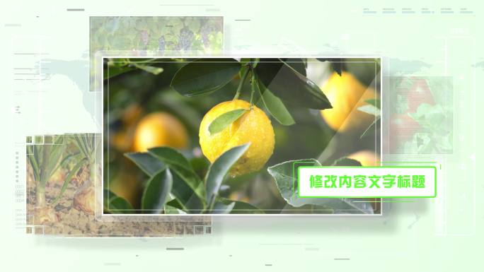 （无插件）绿色环保农业多图片展示