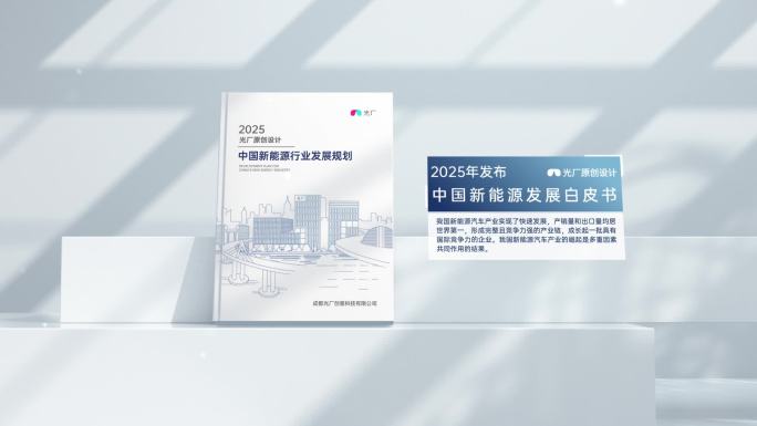 立体书本新书白皮书