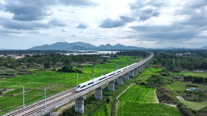 高铁行驶在绿色田野上(11组镜头)