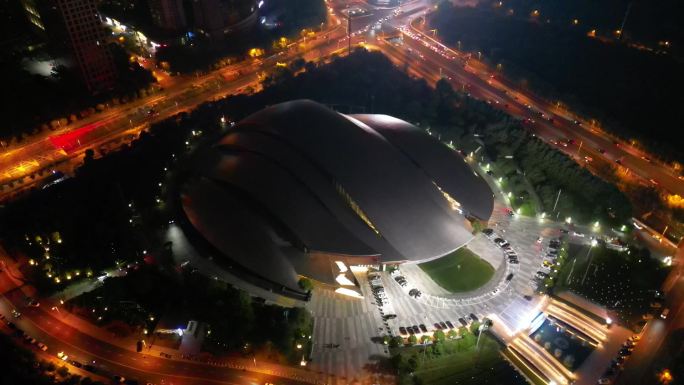 合肥大剧院夜景环绕