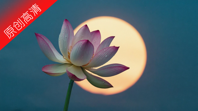 4K传统中秋节月夜下团圆秋意境合集