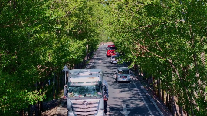 绿色公路