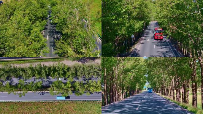 绿色公路