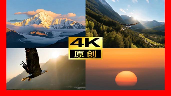 老鹰飞翔日出雄鹰山峰雪山高山企业宣传片