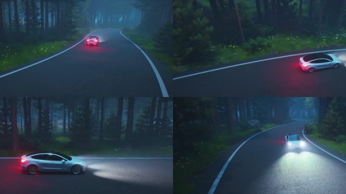 夜间森林公路汽车行驶