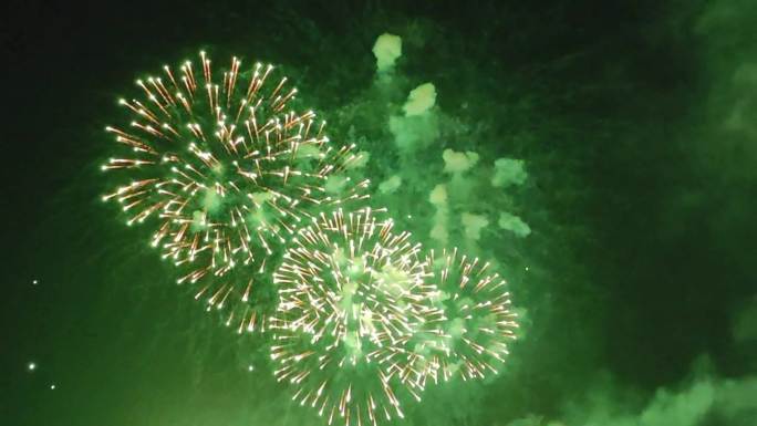节日庆典夜空绚烂烟花绽放
