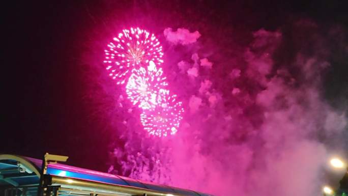 上海节日庆典烟花表演 烟花绽放夜空