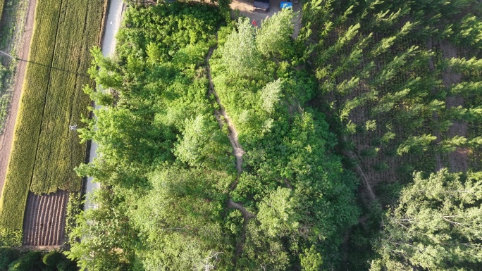 河南周口淮阳历史古迹双冢遗址航拍