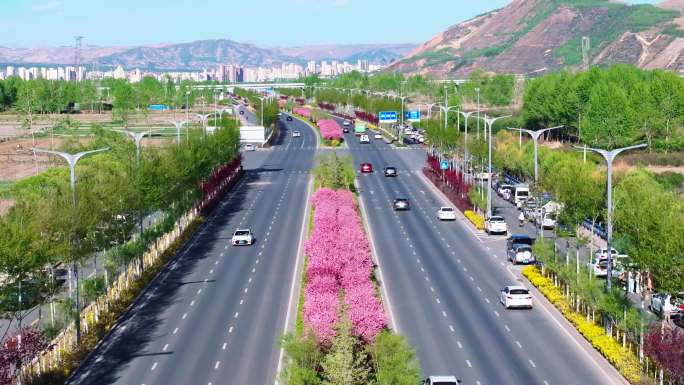 西宁网红大道