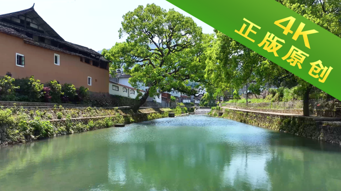 福建坦洋茶园村落风光航拍