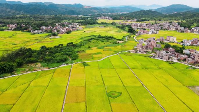 罗定长岗坡