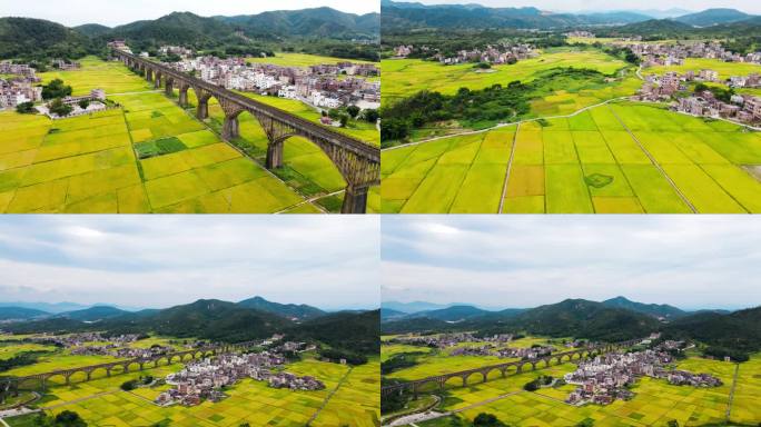 罗定长岗坡