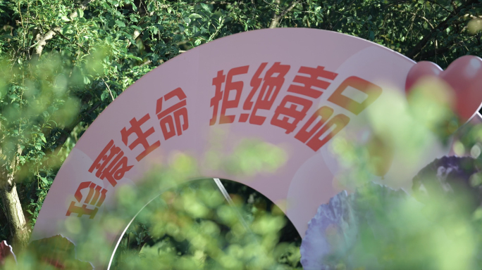 植物罂粟花果展览禁毒教育宣传