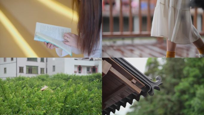文艺少女的夏日时光