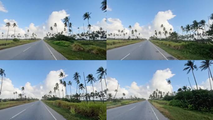 在加勒比海的道路上穿行于椰子树种植园。