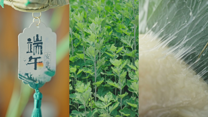 端午 端午习俗 粽子 艾草 香囊 包粽子