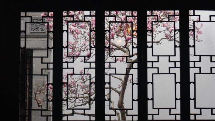 藕园（玉兰航拍木香山茶花）4k