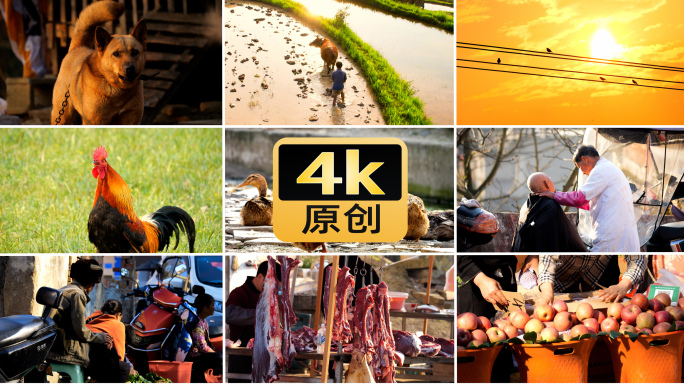 农业农村乡村春耕早晨热闹集市烟火气
